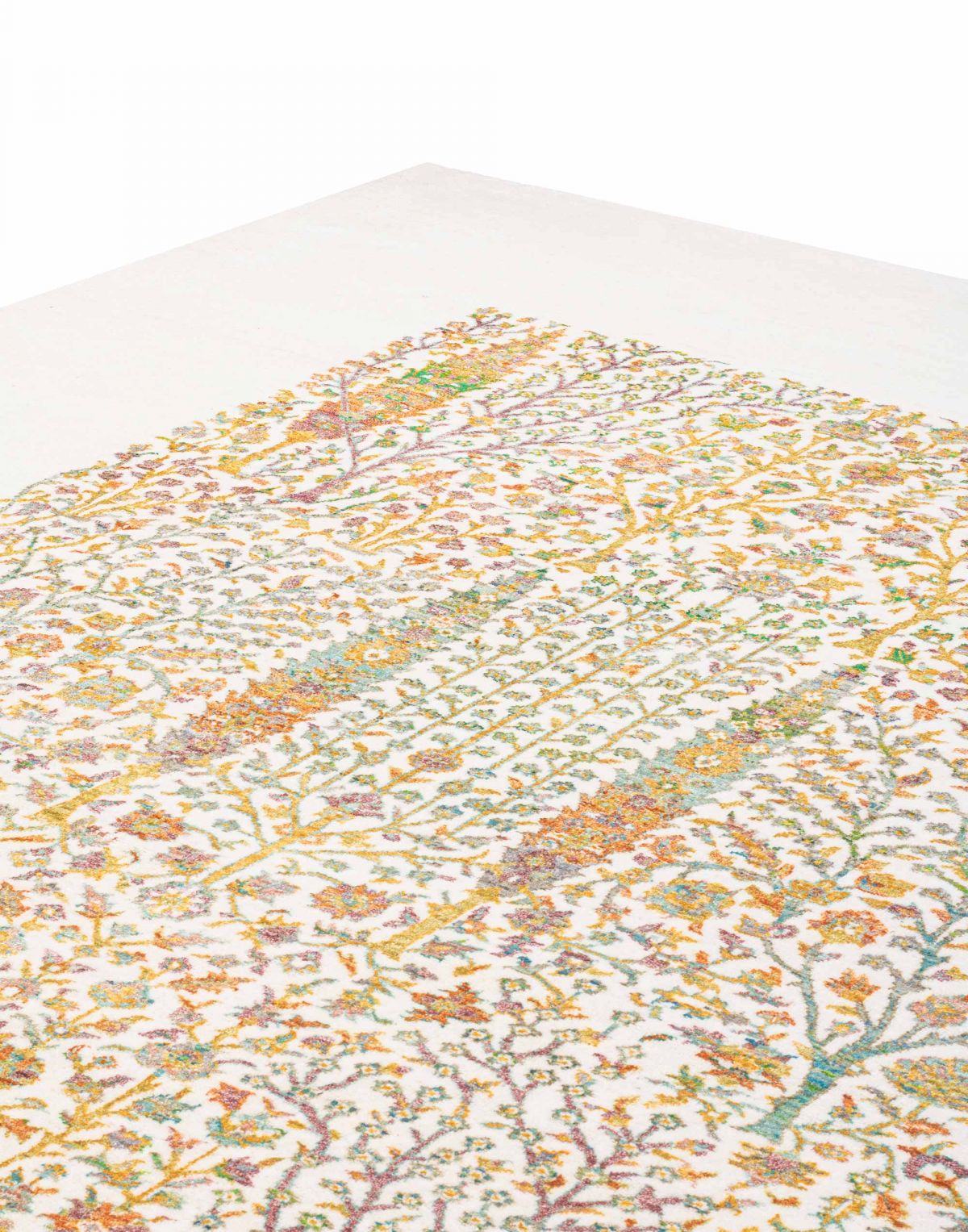 Shams Sari